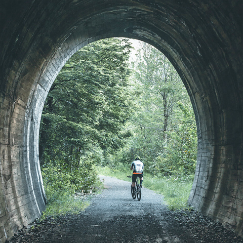 Recorridos en bicicletas por extensas ciclovías y senderos.